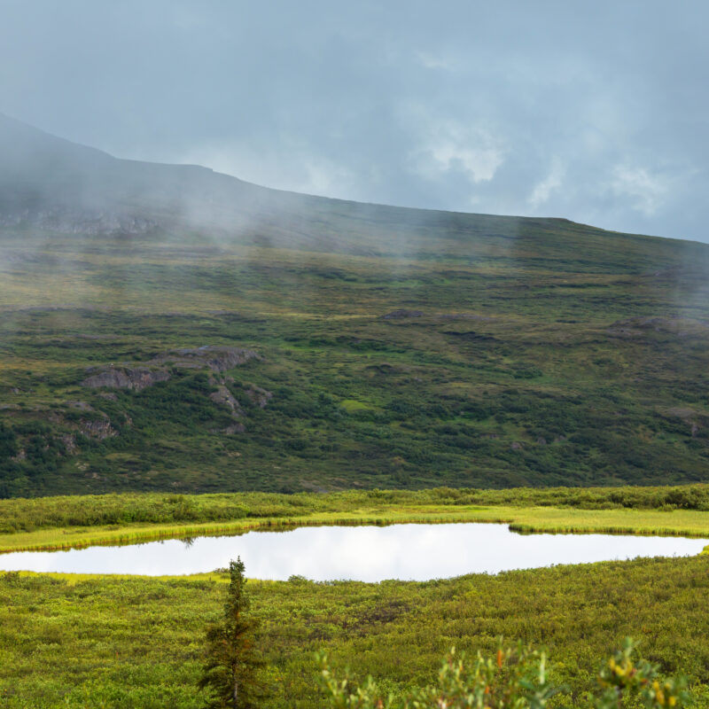 Picturesque Mountains of Alaska in summer. Snow covered massifs, glaciers and rocky peaks.